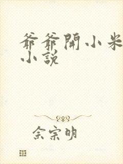爷爷开小米的包小说