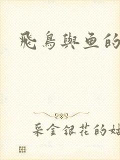 飞鸟与鱼的故事