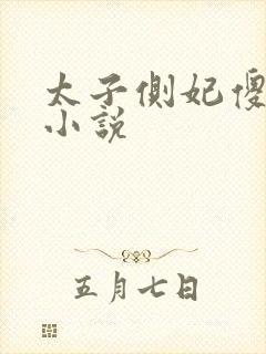 太子侧妃傻乎乎小说