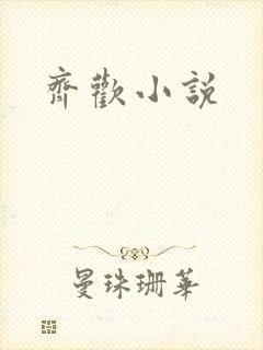 齐欢小说