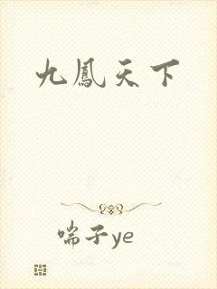 九凤天下封面