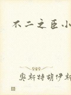 不二之臣小说封面