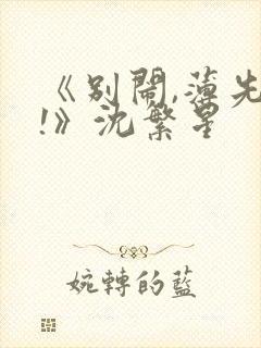 《别闹,薄先生!》沈繁星