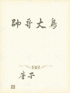 帅哥大鸟封面