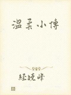 温柔小传