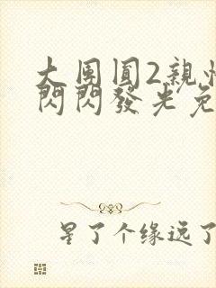 大团圆2亲情会闪闪发光免费