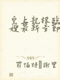 皇上龙根临幸嫂嫂最新章节更新