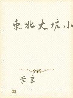 东北大坑小说