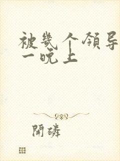 被几个领导玩弄一晚上