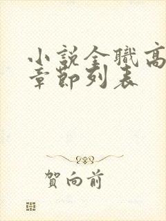 小说全职高手新章节列表封面