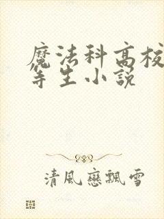 魔法科高校的劣等生小说