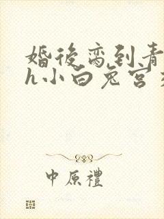 婚后脔到青梅哭h小白兔宫交h