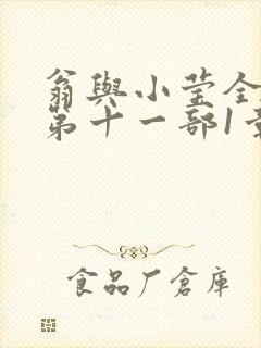 翁与小莹全目录第十一部1章封面