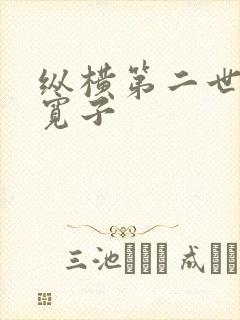 纵横第二世界 宽子
