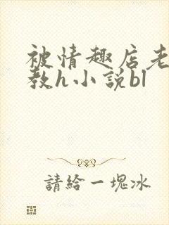 被情趣店老板调教h小说bl封面