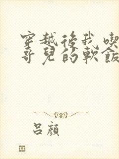 穿越后我吃到了哥儿的软饭炉山灰