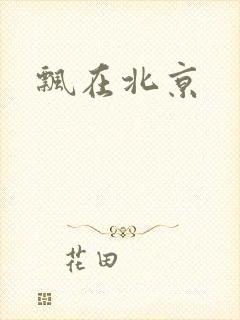 飘在北京