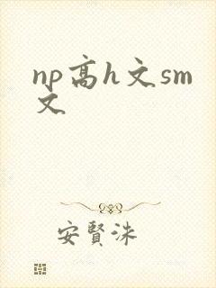 np高h文sm文封面