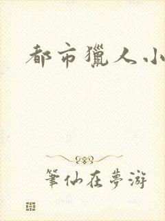 都市猎人小说