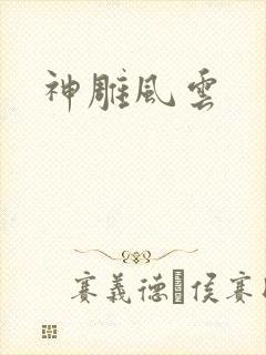 神雕风云