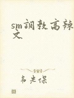 sm调教高辣h文封面