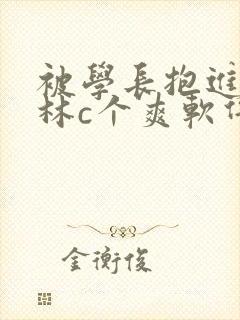 被学长抱进小树林c个爽软件