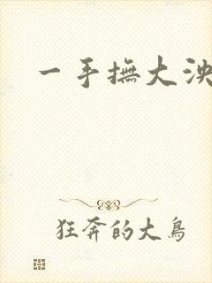 一手抚大泱暖封面