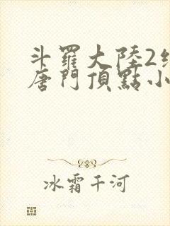 斗罗大陆2绝世唐门顶点小说网