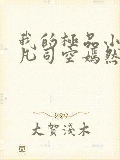 我的极品小姨叶凡司空嫣然