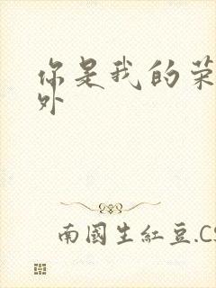 你是我的荣耀番外