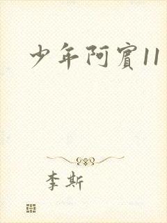 少年阿宾11封面