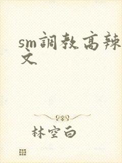 sm调教高辣h文封面