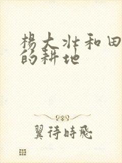 杨大壮和田桂花的耕地封面