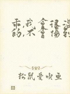 乖,我会很温柔的,不会伤到你小说封面