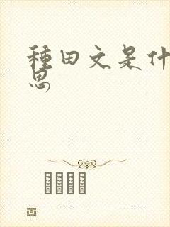 种田文是什么意思