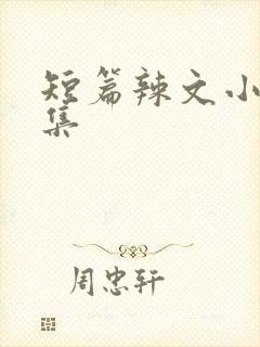 短篇辣文小说合集