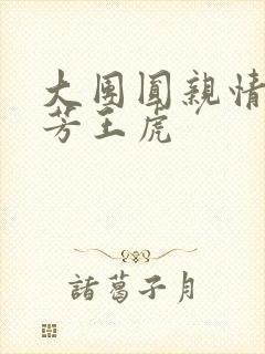 大团圆亲情会王芳王虎封面