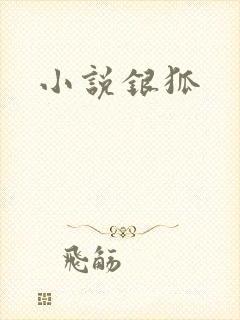 小说银狐