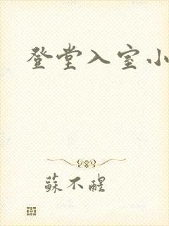 登堂入室小说封面