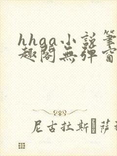 hhaa小说笔趣阁无弹窗最新章节