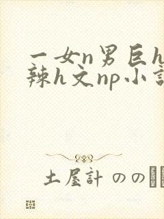 一女n男巨h高辣h文np小说封面