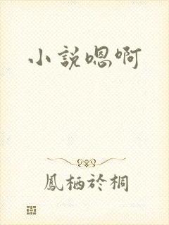 小说嗯啊