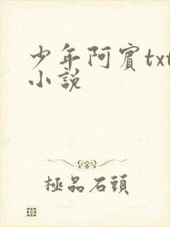 少年阿宾txt小说