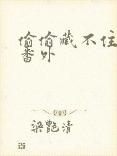 偷偷藏不住新婚番外