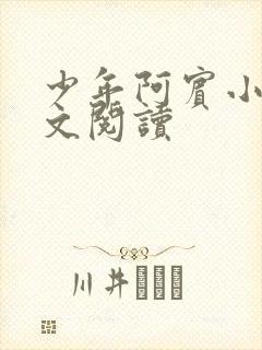 少年阿宾小说全文阅读封面