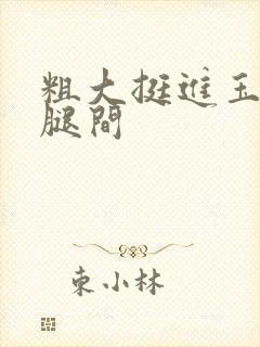 粗大挺进玉芬双腿间