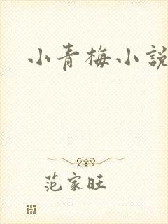 小青梅小说