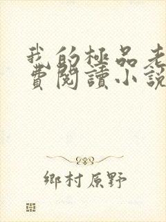 我的极品老婆免费阅读小说封面