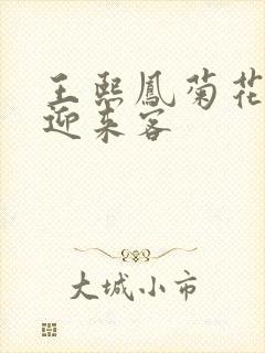 王熙凤菊花门初迎来客