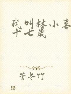 我叫林小喜今年十七岁封面